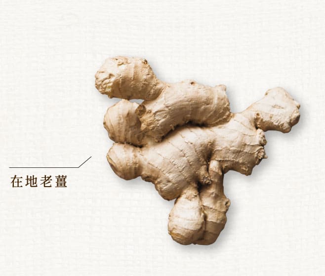 在地老薑